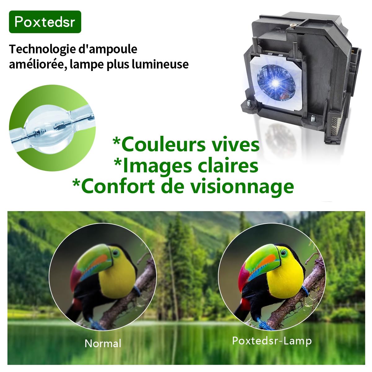 EP80/V13H010L80 Lampada di ricambio per proiettore compatibile con EPSON BrightLink pro 585Wi 595Wi 1420wi 1430wi eb-575wi eb-585w powerlite 570 575w 580 585w con alloggiamento