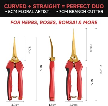 FLORA GUARD 2pcs Bonsai Pruning Shears - Sharp Stainless Steel Garden Scissors, Micro-Tip Pruning Snip with Straight & Curved Blade, Gardening Gift Box Packaging, for Arranging Flower, Trimming Plant