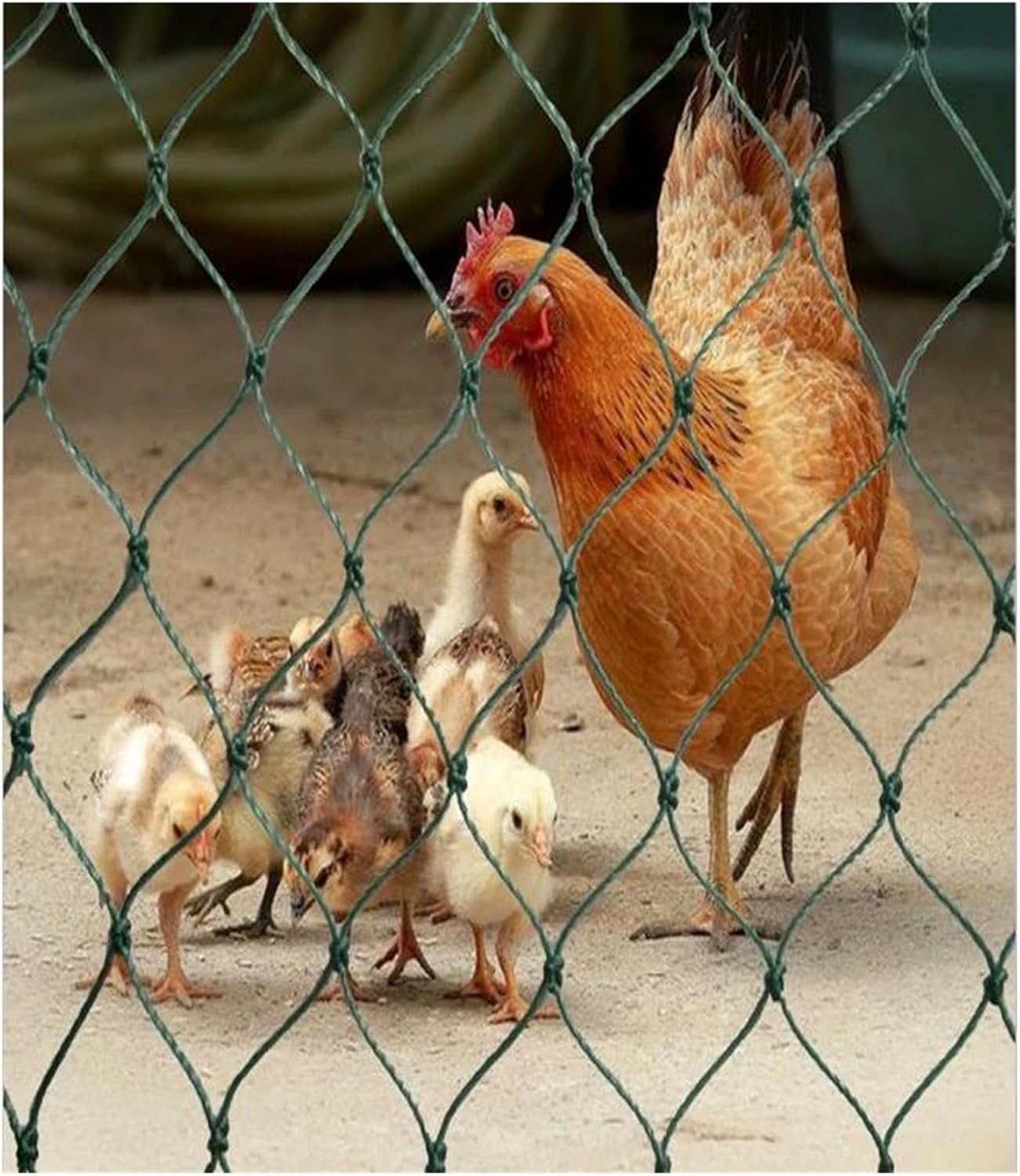 12-18 Strands Chicken and Duck Breeding Garden Net Bird Net Sheep Breeding Net Fence Net Fishing Net(12-Strands 3cm,2m x 5m)