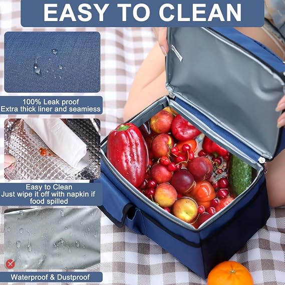 Insulated Dual Compartment Lunch Bag - Reusable Lunch Box Waterproof Cooler Tote Bag - Leakproof Thermal Cooler Sack Food Lunch Tote Pail - Large Lunch Handbags for Office Work