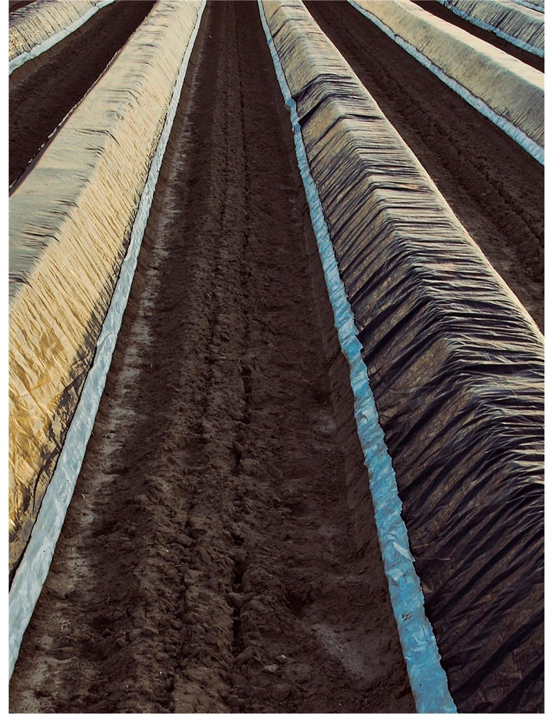 JARDIN202 - Plástico para agricultura y obra- NEGRO - 400 Galgas | 4x50 metros -