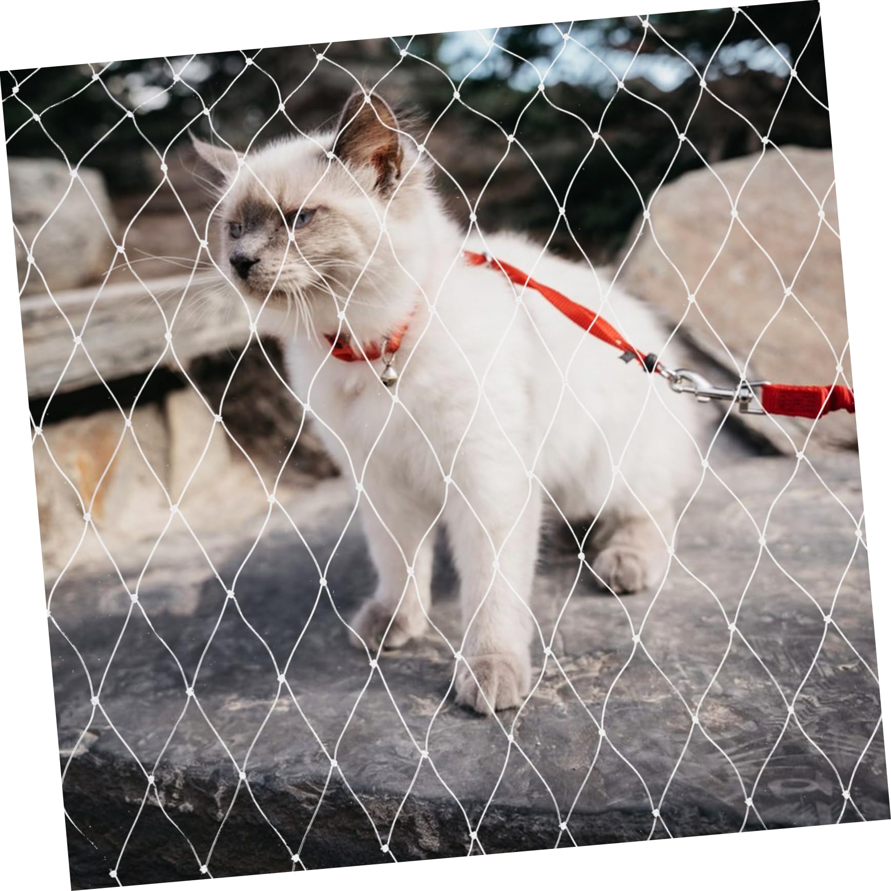 FRCOLOR Schutznetz Katze für Balkon und Fenster Nylon Weiß Reißfest und Kratzfest zur Absturzsicherung für Haustiere