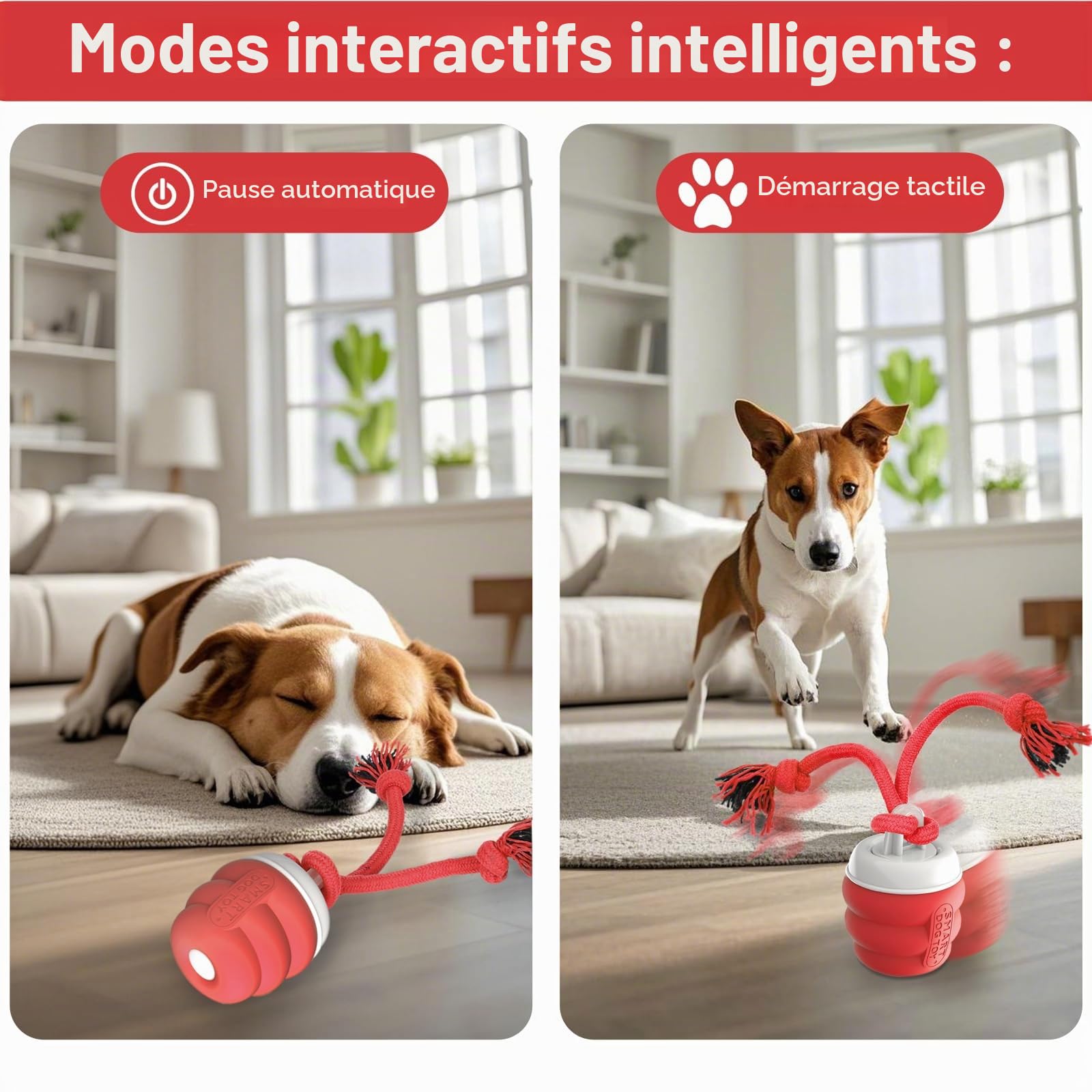 Balle Interactive Chien – Jouet Interactif Balle Chien Rechargeable USB, Balle pour Chien avec Corde à Mâcher, Balle Chien Qui Bouge Toute Seule pour Chiens de Petite, Moyens