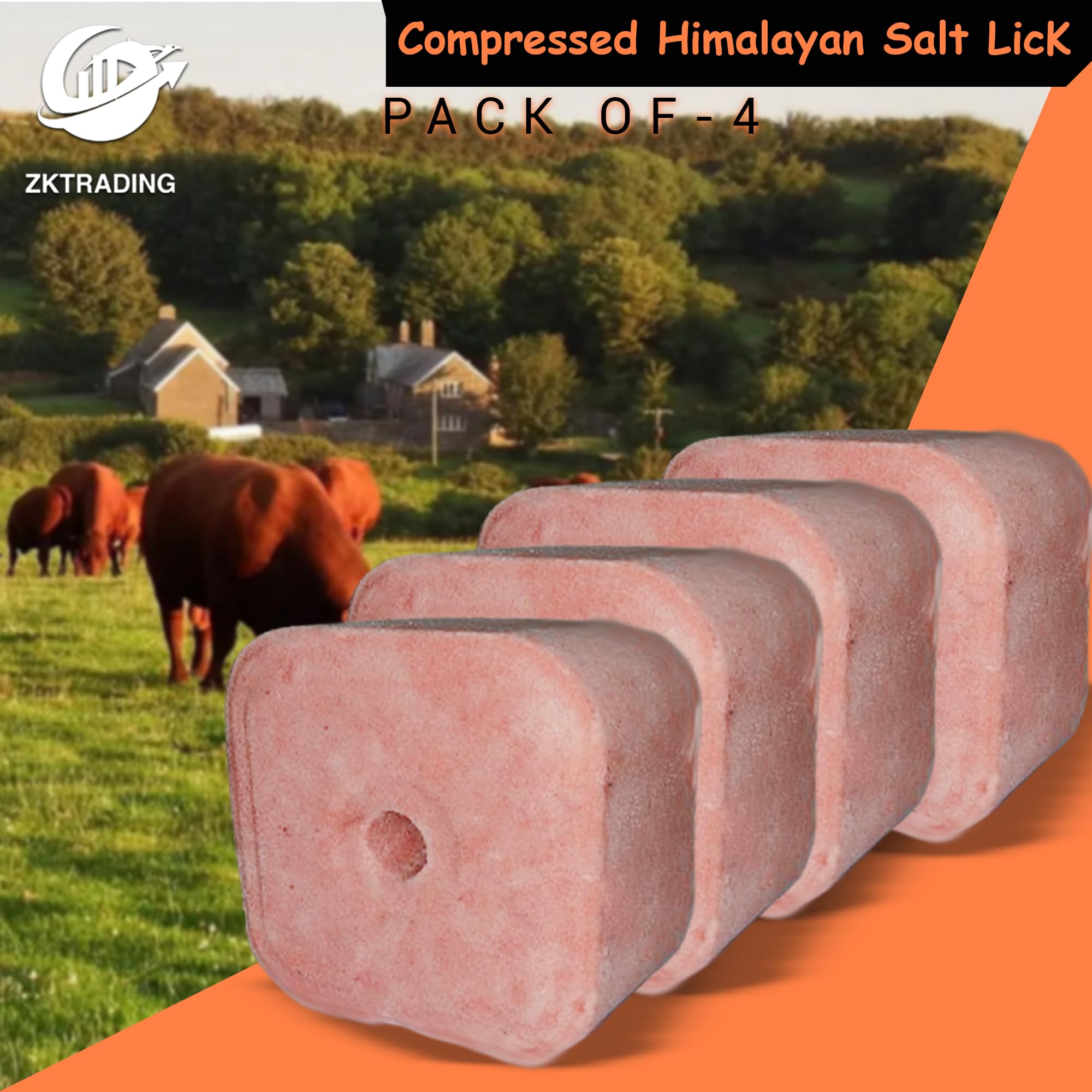 Confezione da 4 leccate di sale dell'Himalaya compresse da 3,2 a