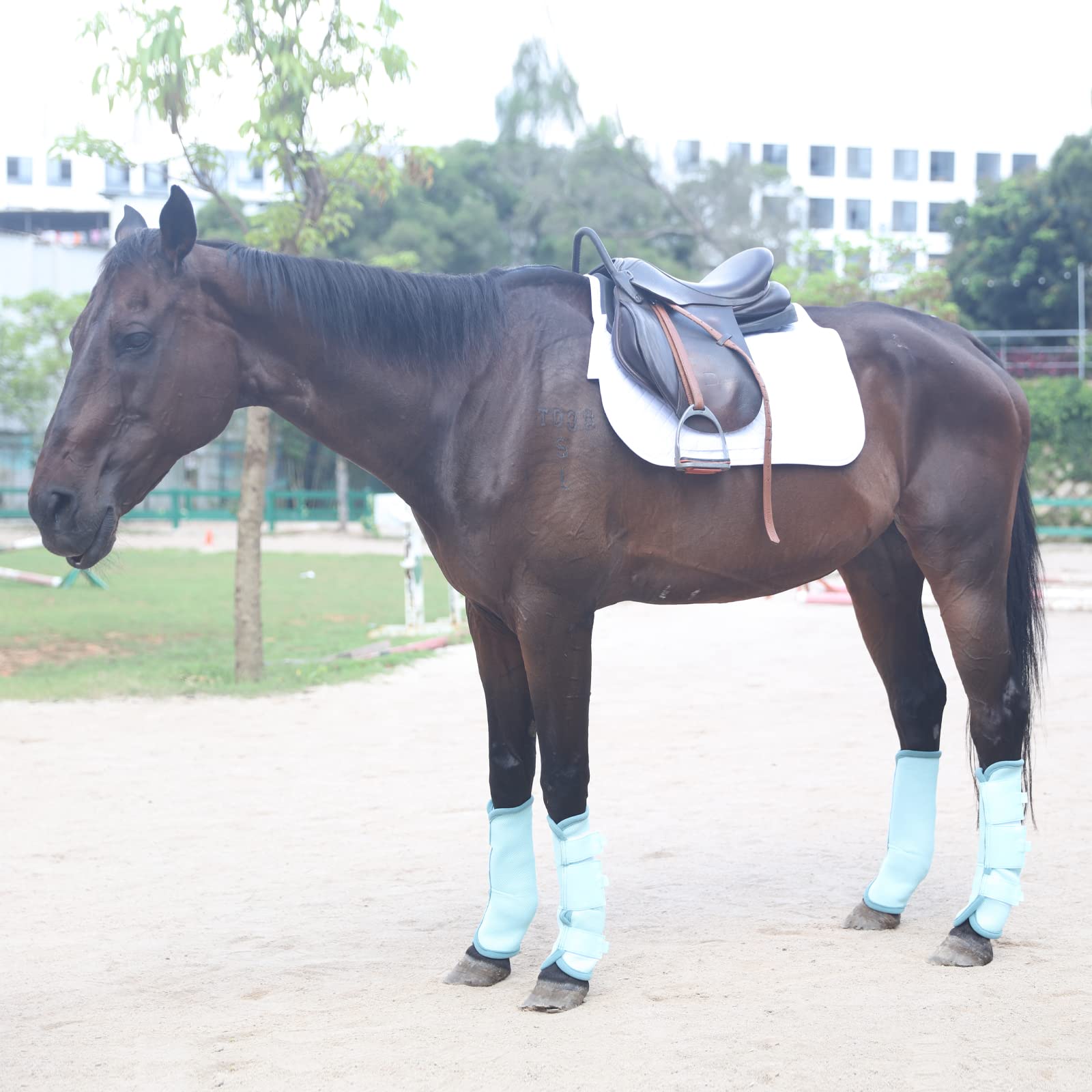 Set di 4 stivali da mosca per cavalli, traspiranti e comodi, leggings per cavalli in rete riducono il calpestio, lo stress degli zoccoli e l'affaticamento delle gambe, SkyBlue Pony