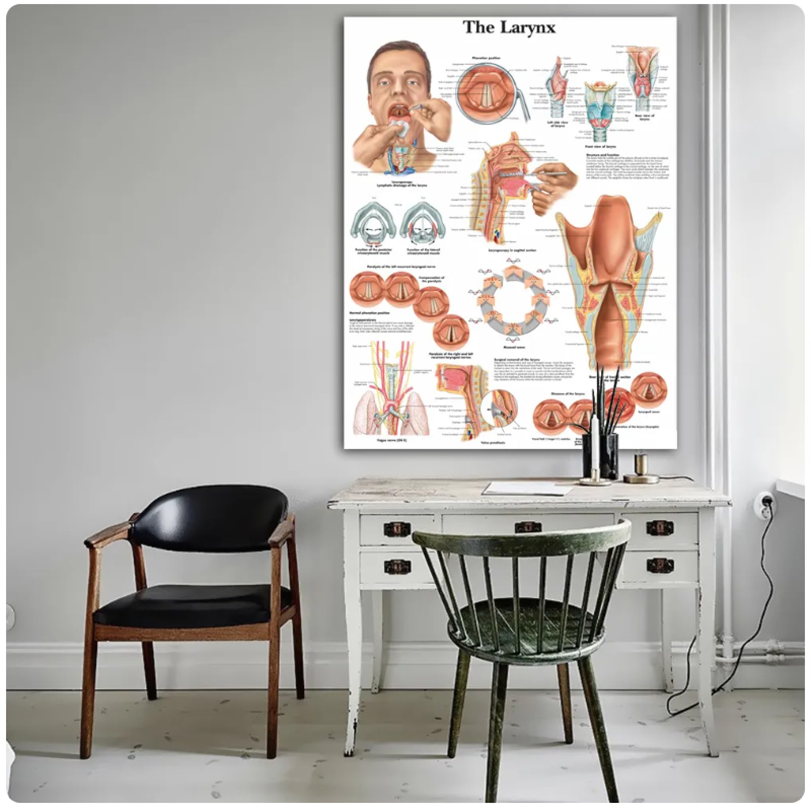 Amazon｜TYBBAG 喉頭解剖図キャンバスプリントウォールアート