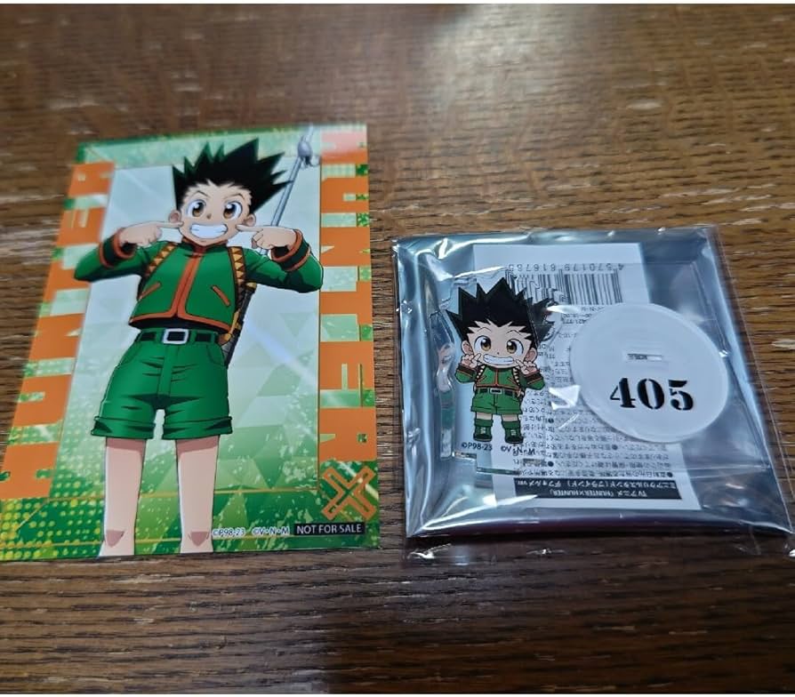 Amazon.co.jp: ジャンプフェスタ2024 HUNTER×HUNTER ゴン ブロマイド
