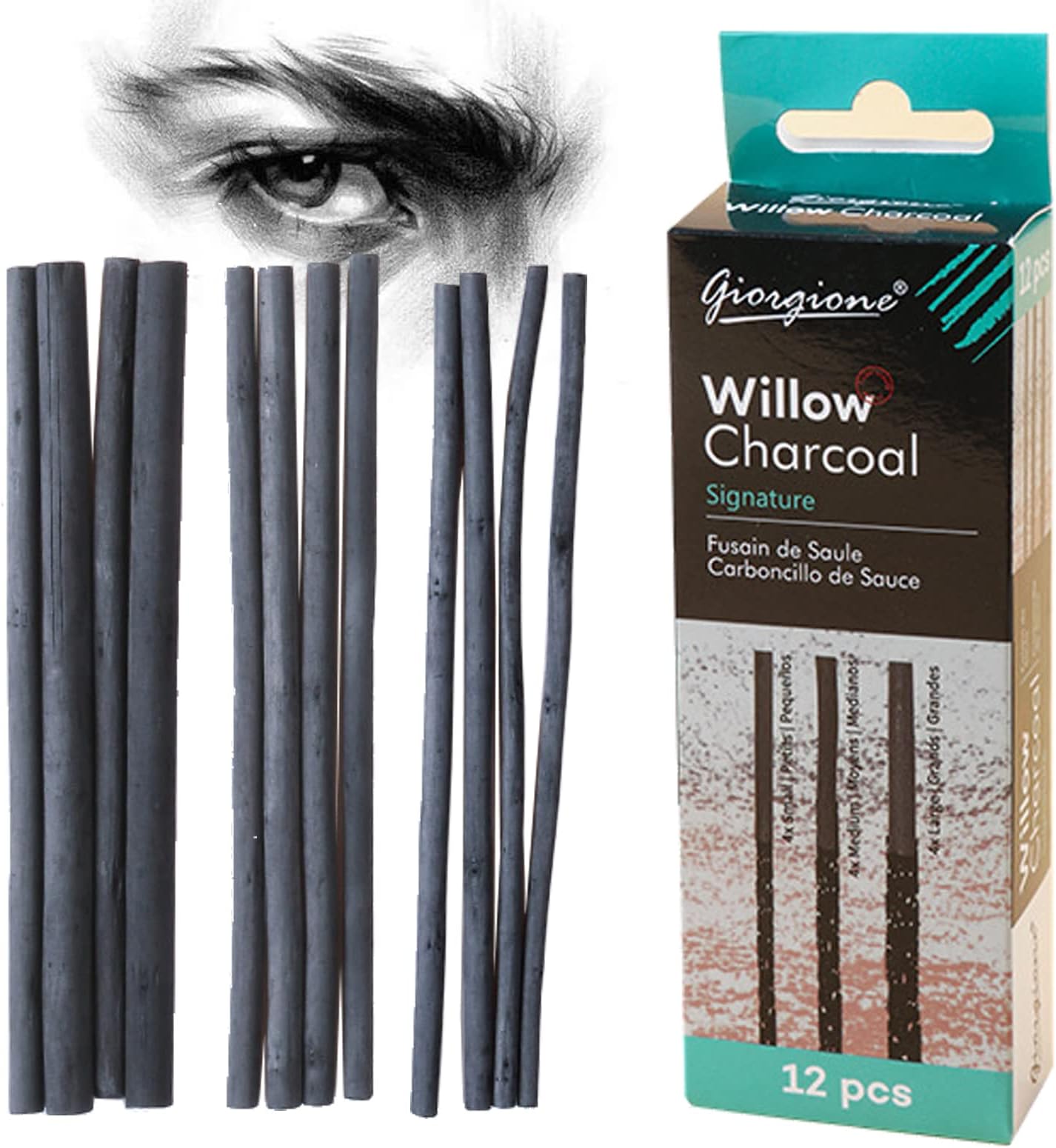 DanYun Set of 12 Charcoal Stick Charcoal Drawing Charcoal Painting Sketching Charcoal Brush Hands Free Painting Charcoal Art Supplies Drawing Tools 8mm 5mm 4mm