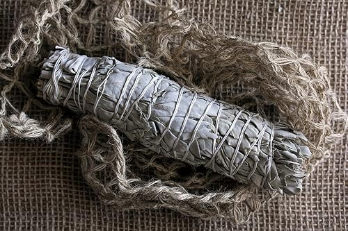 Miniatura 8 de Salvia blanca California extragrande, aproximadamente 8.5 pulgadas de largo y 2 pulgadas de ancho para rituales de manchas, limpieza de energía,