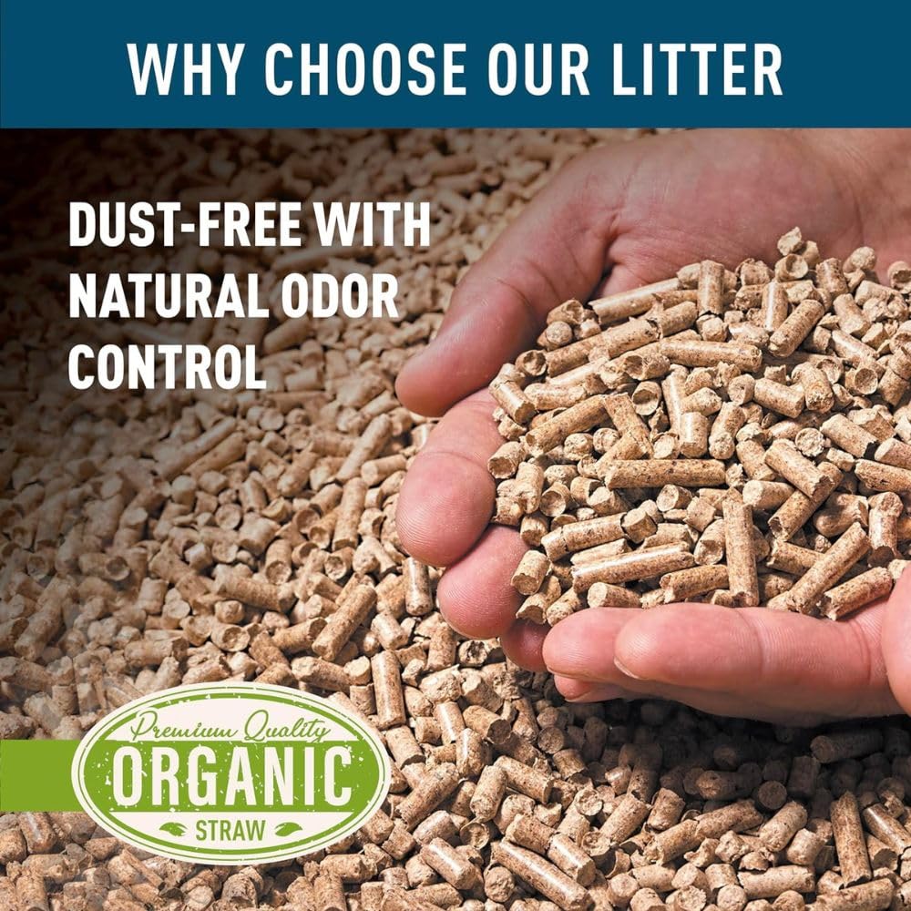 Blue Mountain Hay Lettiera biologica in paglia di grano per piccoli animali, pellet naturali e biodegradabili, senza sostanze chimiche e antipolvere, assorbe l'umidità, elimina naturalmente gli odori