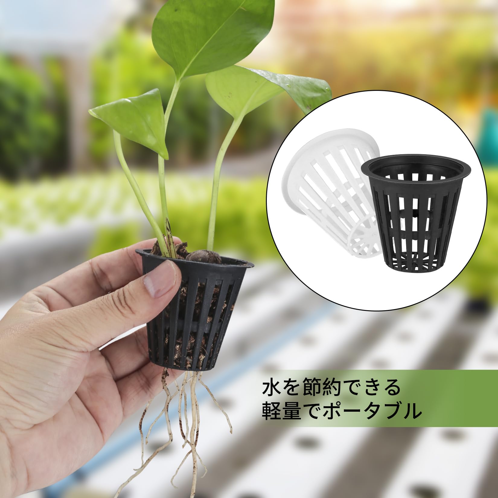 Amazon.co.jp: 苗ポット 水耕 ポット 50個セット 水耕栽培鉢 定植かご
