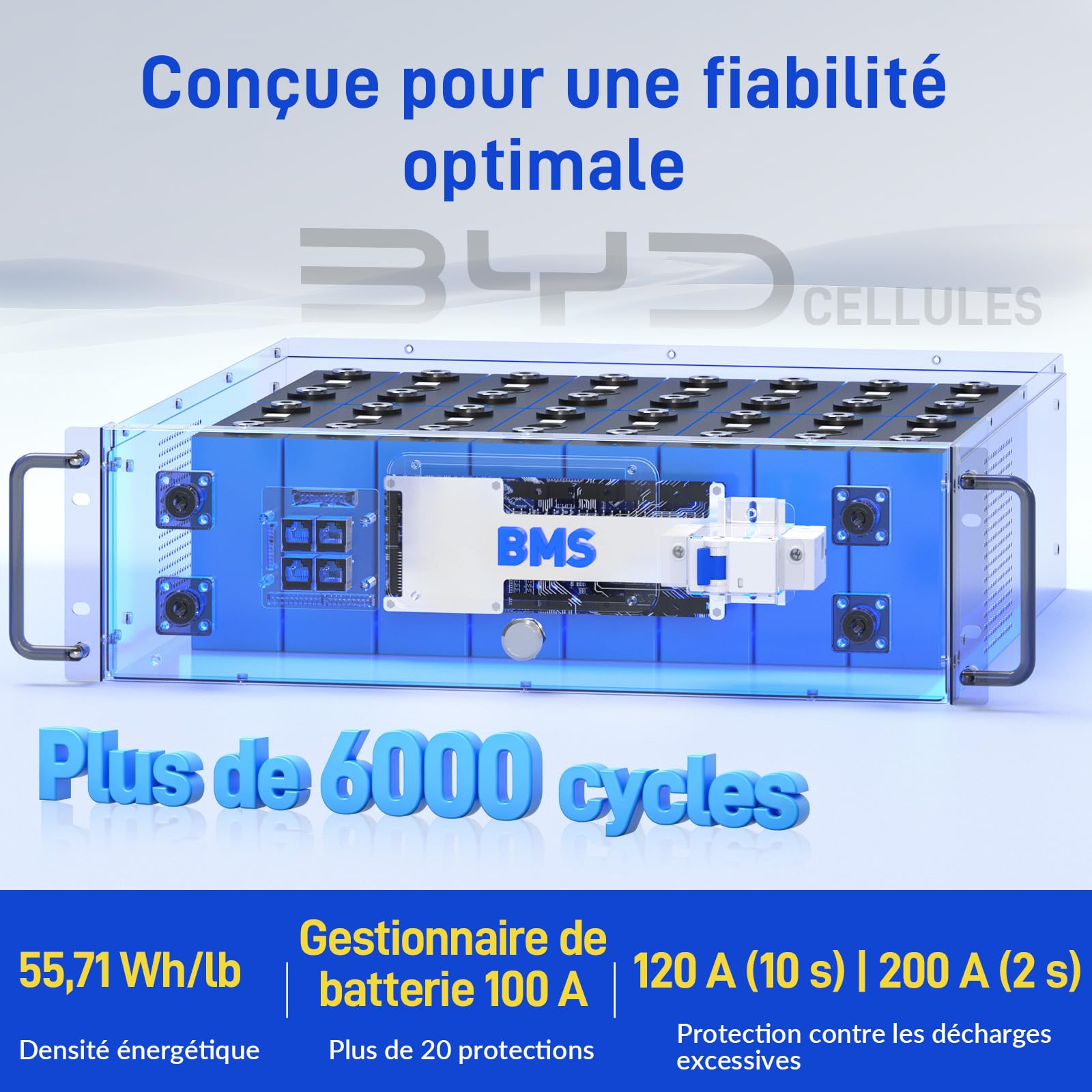 WattCycle Kit 2 Batterie LiFePO4 Rack 48V 100Ah V2, 10,24kWh Totali con Celle BYD, BMS 100A, Bilanciamento Attivo 3A, Bluetooth, LCD, CAN/RS485, per Fotovoltaico, UPS e Off-Grid