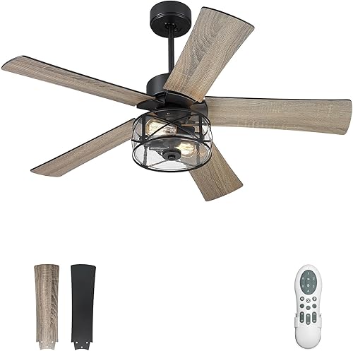 YOUKAIN Ventiladores de techo de granja, ventilador de techo industrial de 48 pulgadas con luz y control remoto, vidrio transparente, 5 aspas Negro