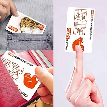 Amazon.co.jp: 大運をつかむ干支守護符【正対化霊天真坤元十二支