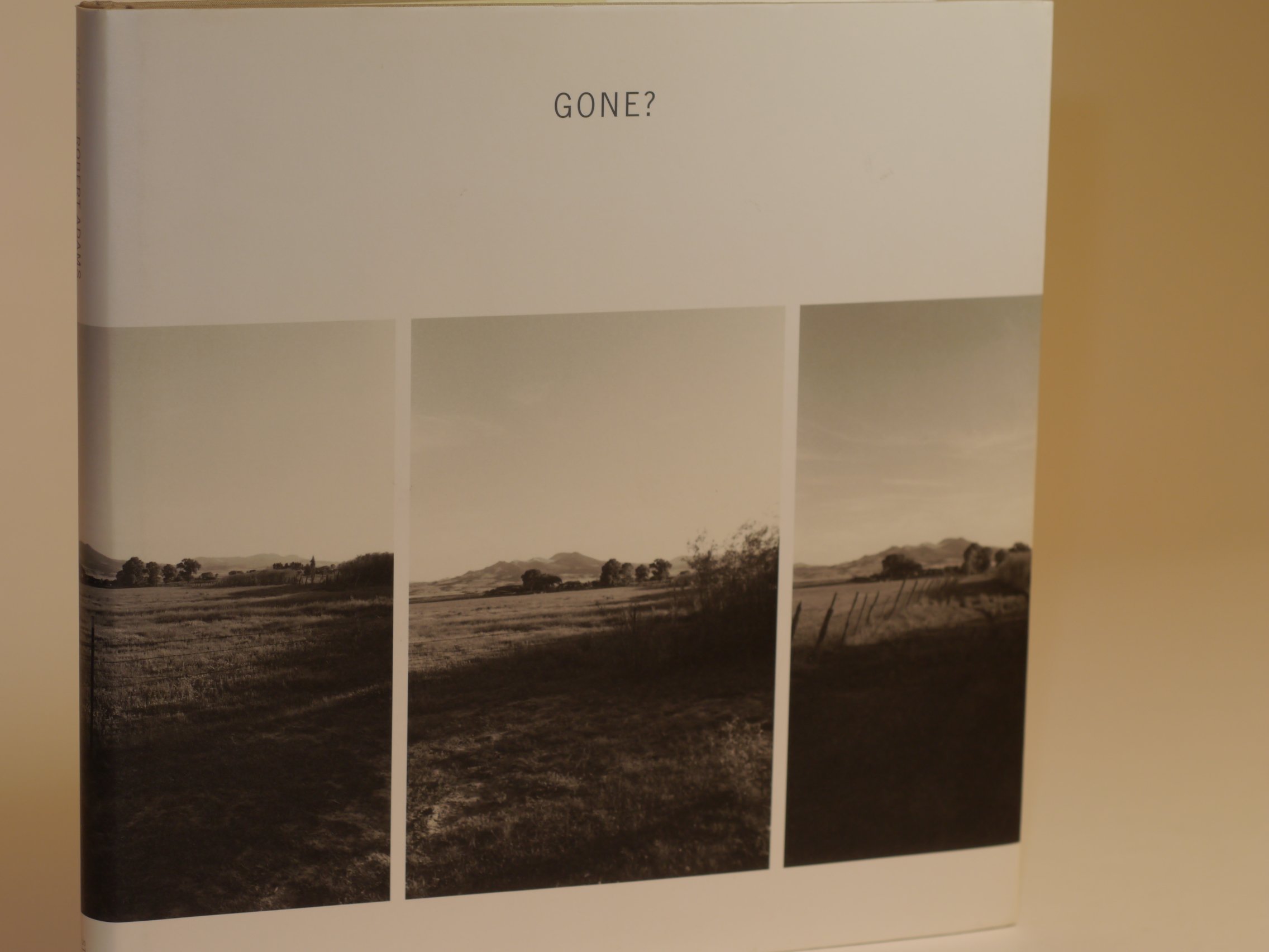 Gone? Spray de voyage pour nettoyer les vêtements des enfants après les repas et jeux