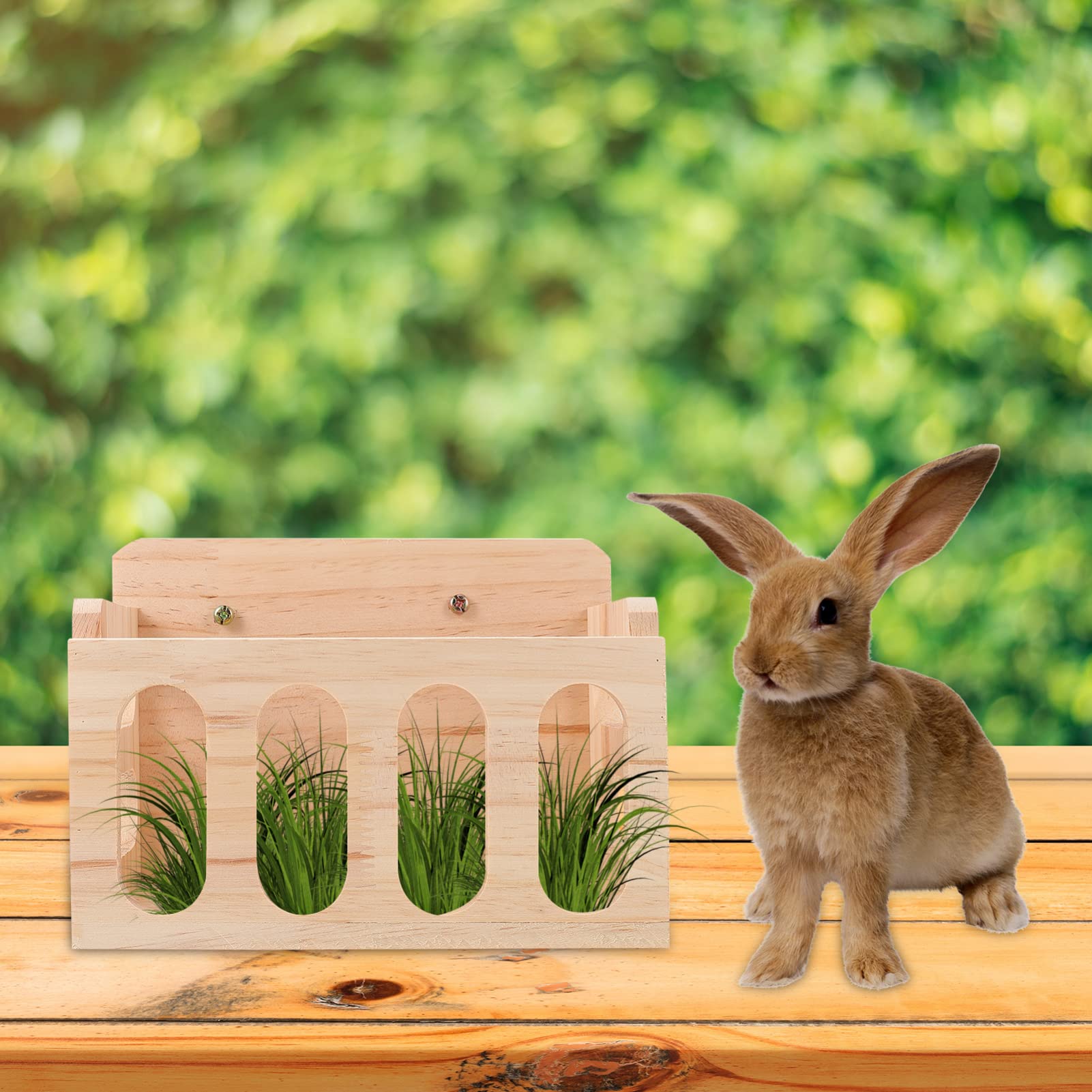 POPETPOP Pesebre Heno Hámster De Conejitos Alimentador de de de Madera Alimentación de Alimentos Rack Rack Alimentador para Guinea Pig Chinchilla Dispensador De Comida para Accesorios