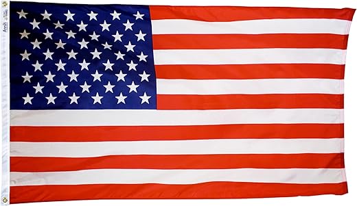 Annin Flagmakers Nylon American Flag, 5 x 8 Feet (Model 2557) 100%...