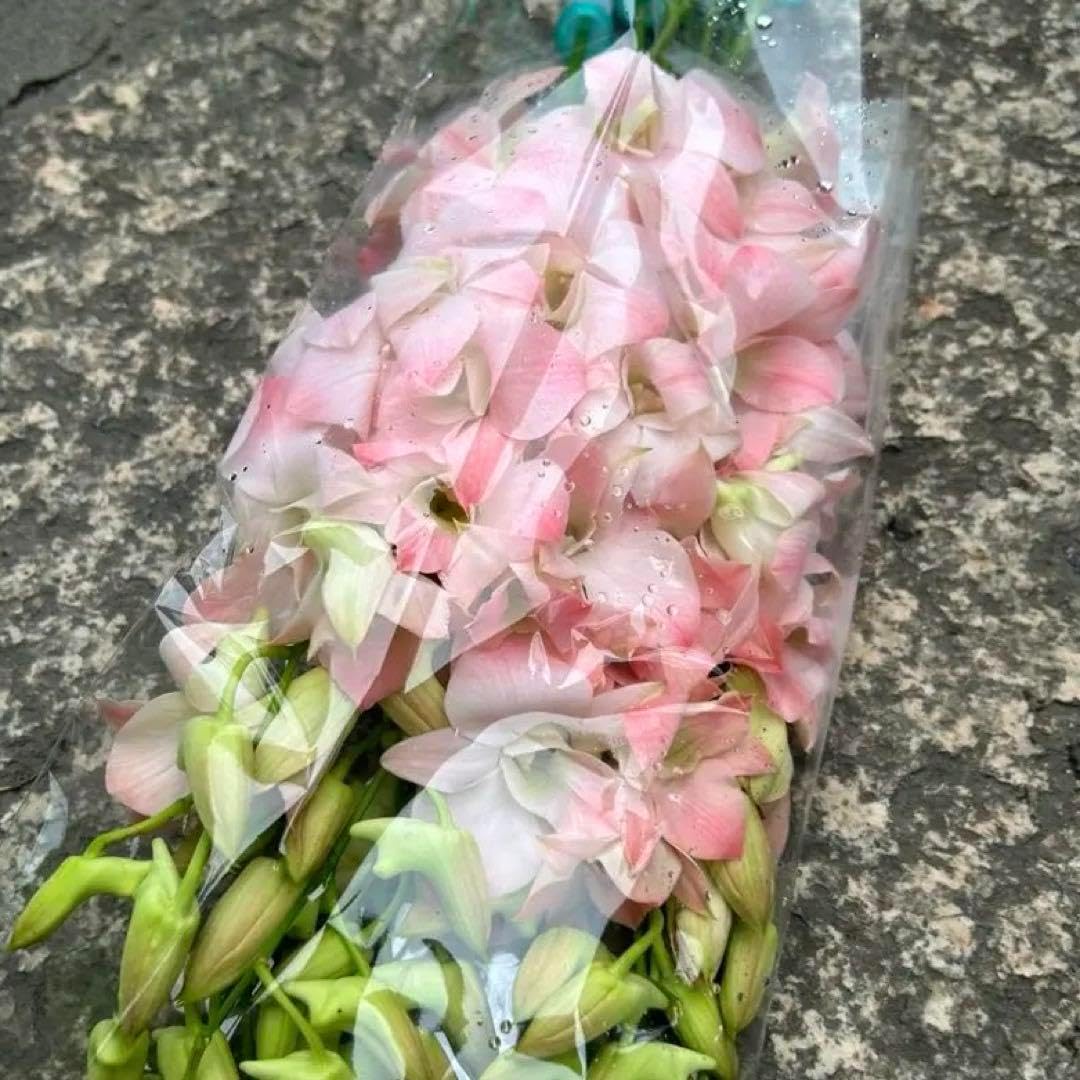 B 花 デンファレ アプリコットロマンス 10本 アレンジ 花束 ブーケ 蘭