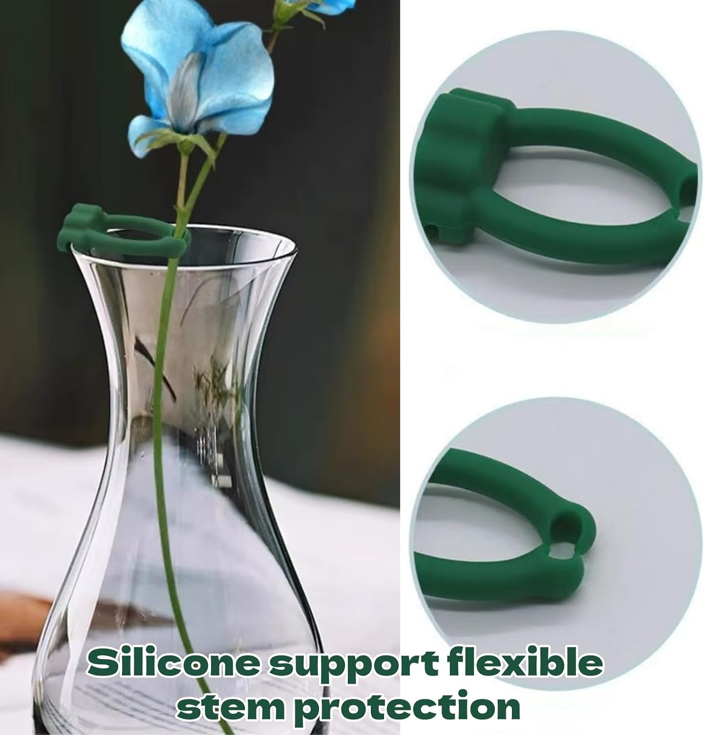 Plant Propagation Buddy, 3Pcs image 4