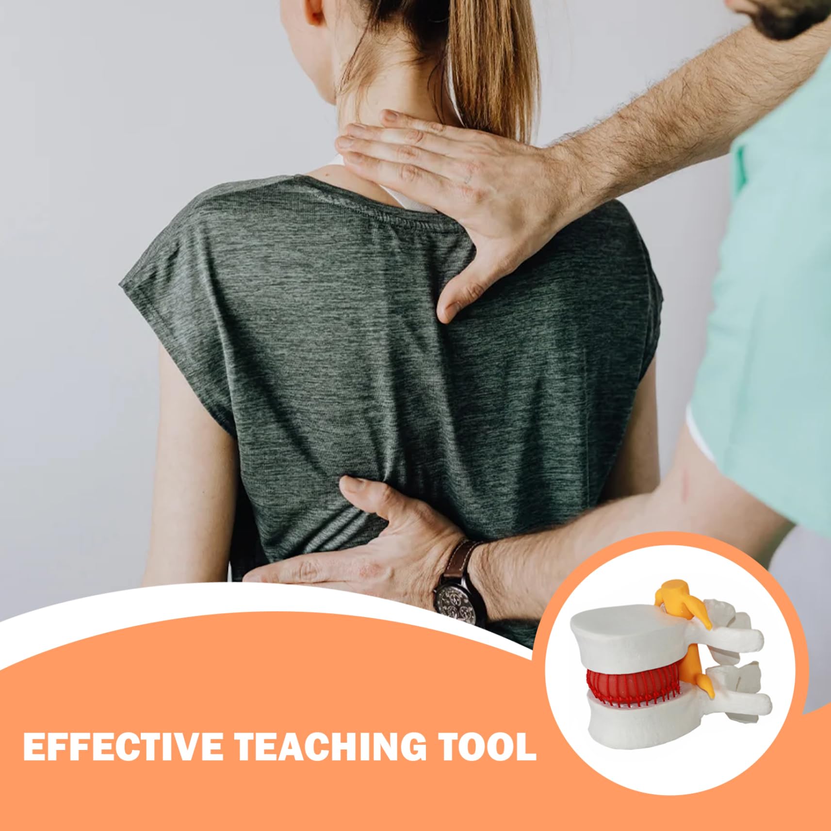 Material didáctico para aliviar la hernia de disco, modelo de cuerpo humano de PVC de vértebra lumbar herniada, modelo de columna lumbar de tamaño natural 1, 5 veces para enseñar, aprender y demo