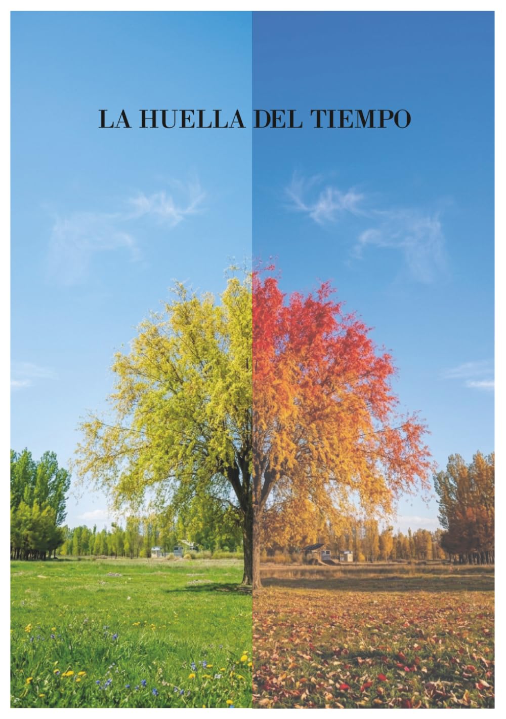 LA HUELLA DEL TIEMPO
