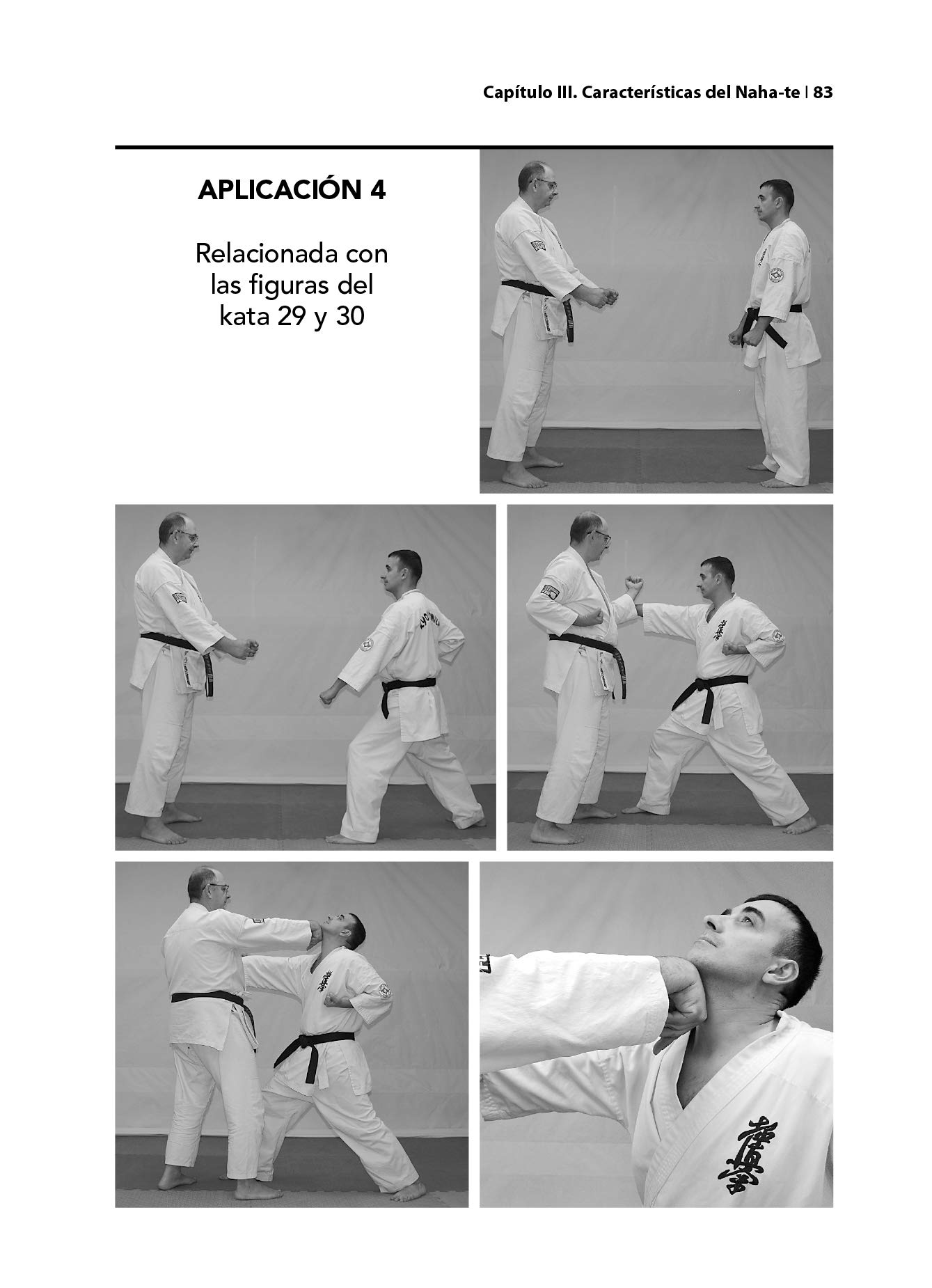 Kyokushin. Karate Kata Ôyô Bunkai (KATAS SUPERIORES I. La influencia de Shorei)