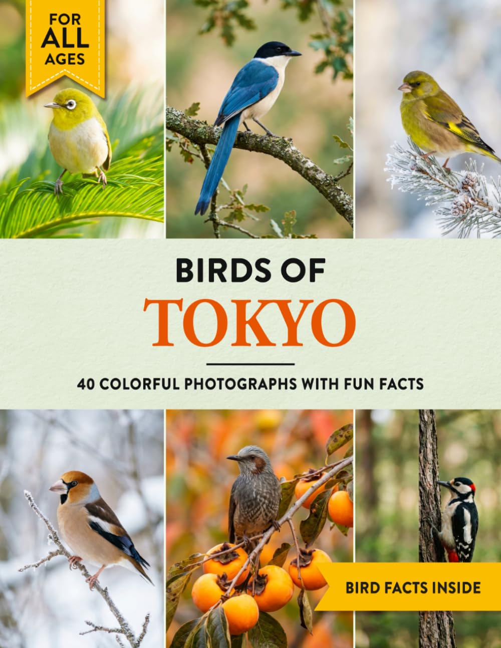 Birds of Tokyo: A Birdwatching Picture Book with Fun Facts and Photography for Kids, Adults & Birders