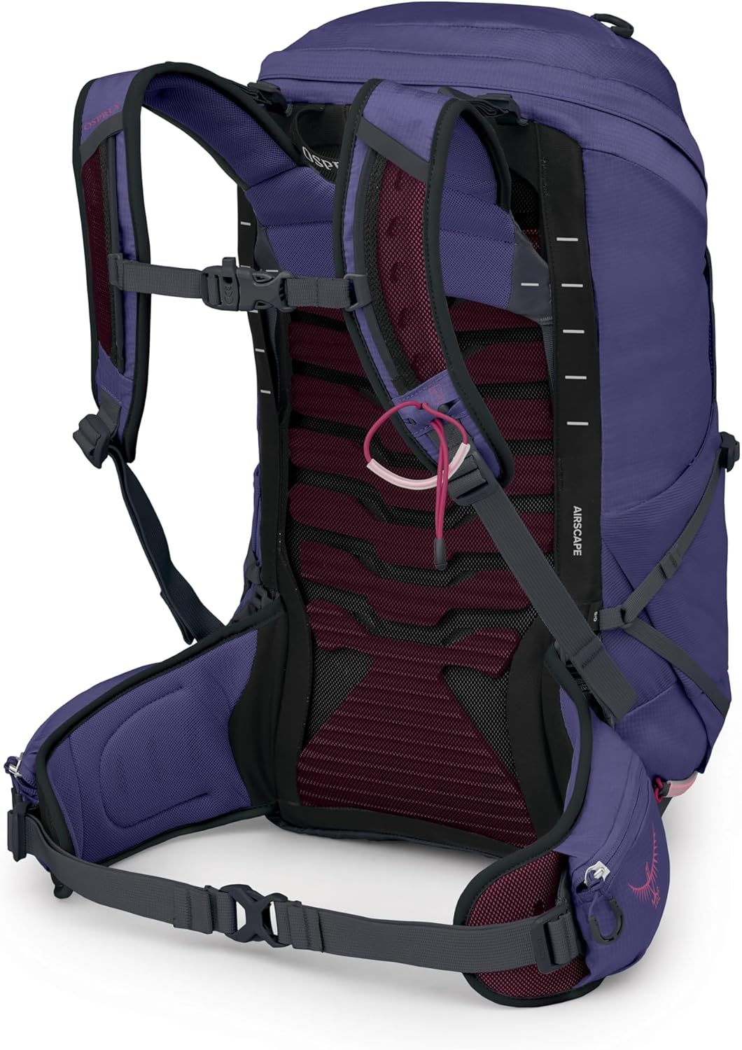 Osprey Tempest 26L Women's Lightweight Hiking Backpack - Daypack for Travel & Camping, Deep Fig/Hotspot Pink - Image 7