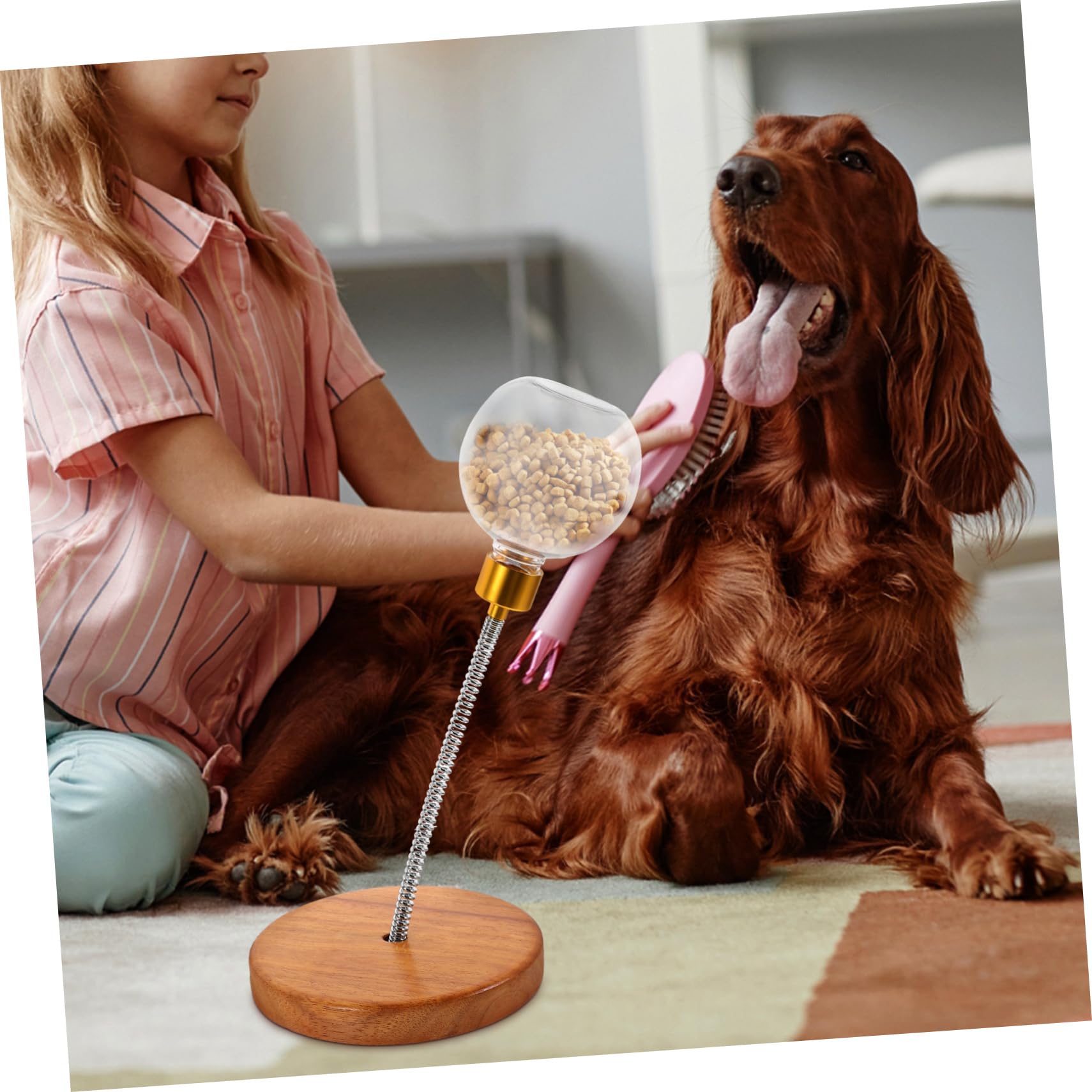 WOONEKY Snackball für Hunde aus Kunststoff und Edelstahl Interaktives Hundespielzeug für Kleine Hunde mit Futterausgabe und Stressabbau Haustier Spielzeug für Drinnen