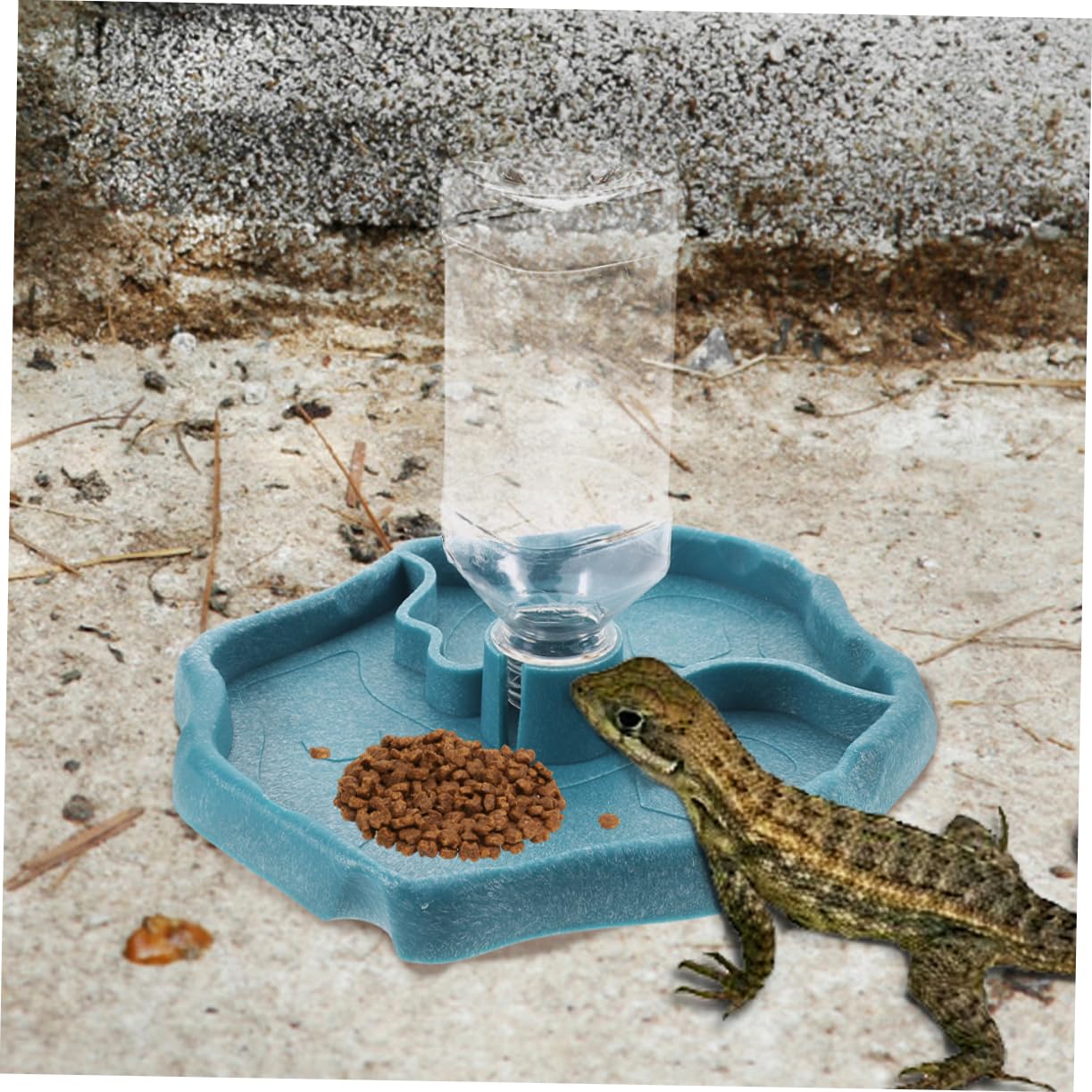 Hohopeti Distributore Automatico d'Acqua in ABS, 2 Pezzi, Ciotola per Cibo e Acqua per Piccoli Animali e Uccelli, Facile da Pulire | Ciotola per Cibo e Acqua, Facile da Pulire, per Piccoli Animali e Ragno