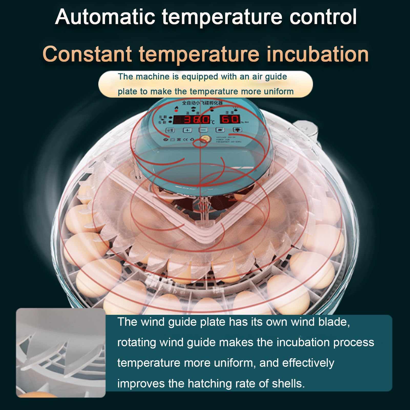 Incubadora automática de huevos con volteador y control de temperatura, apta para 15 o 30 huevos, ideal para uso doméstico en granjas