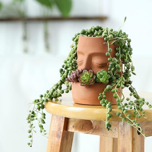 Miniatura 4 de Maveite Terra Cotta - Macetas para suculentas maceta de arcilla bonita cara de tribu soporte para macetas de flores manualidades maceta de terracota