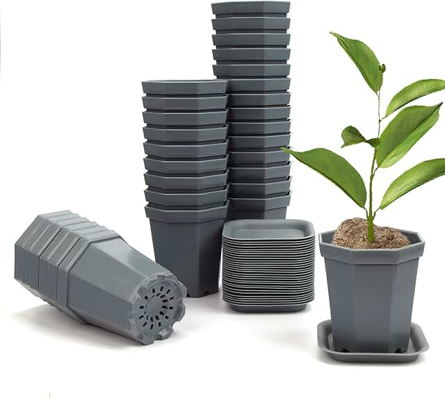 Amazon.ca nursery pots
