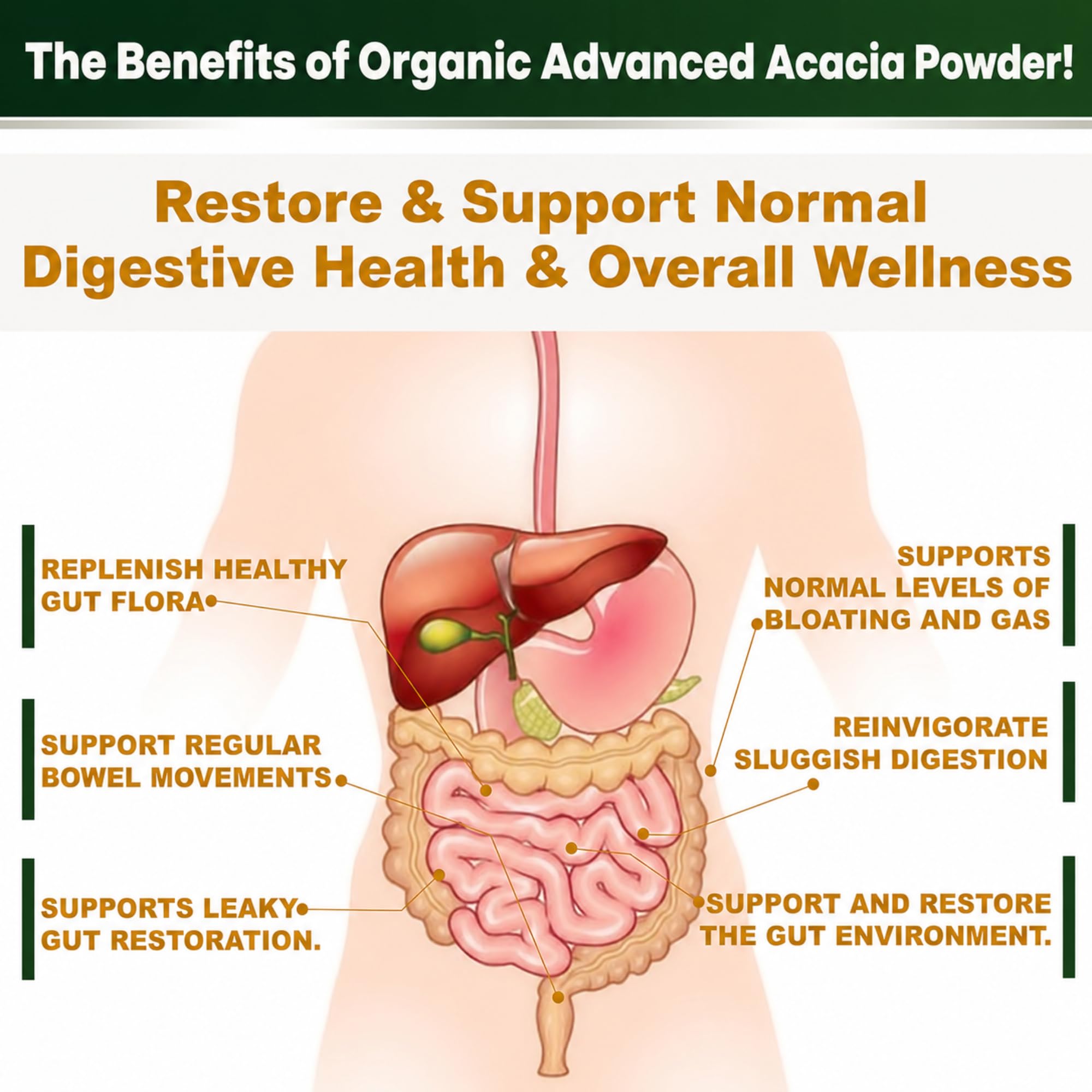 Organic Advanced Acacia Fiber Powder 40oz (2.5 lbs) - Soluble Fiber Leaky Gut Repair Powder. Natural Supplement for Gut Health, Regularity, Digestive Rejuvenation — Amazon image 9