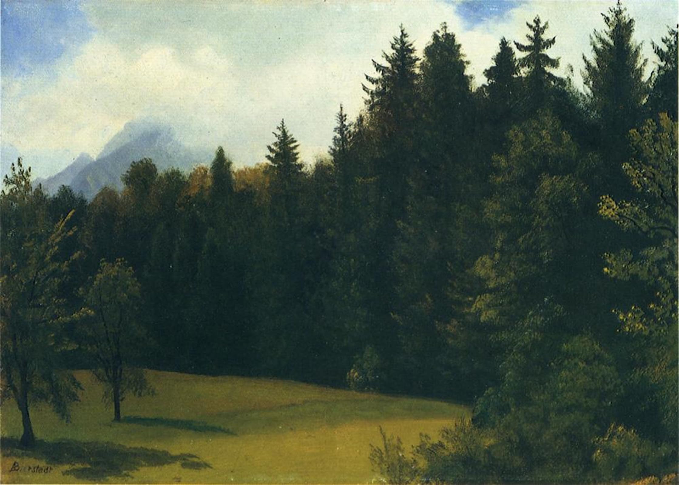 POSTERIIk Famous Print Pop Art Wall Art Graffiti Mountain Resort by Albert Bierstadt Art Prints for Home Decor 60x90cm