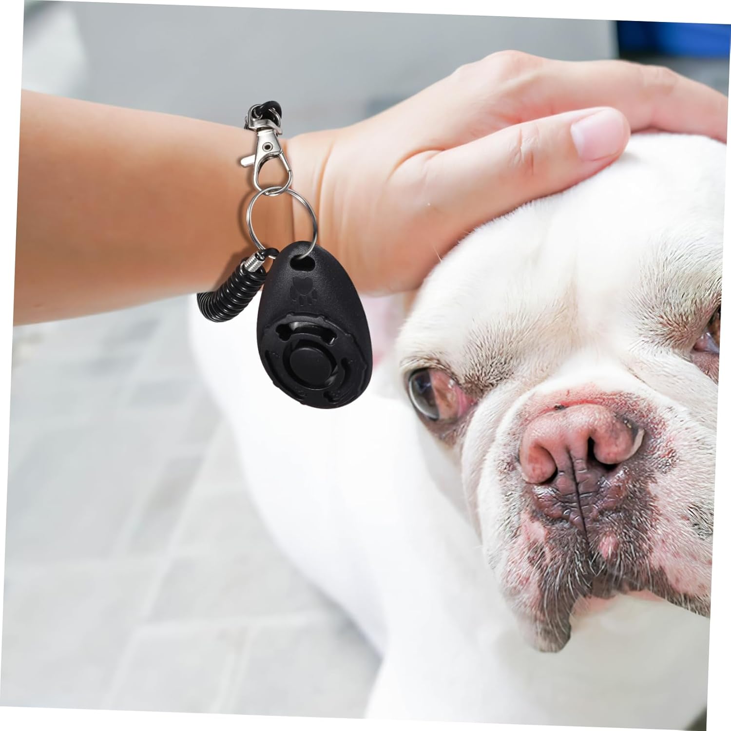 Clicker BESPORTBLE utilisé en extérieur