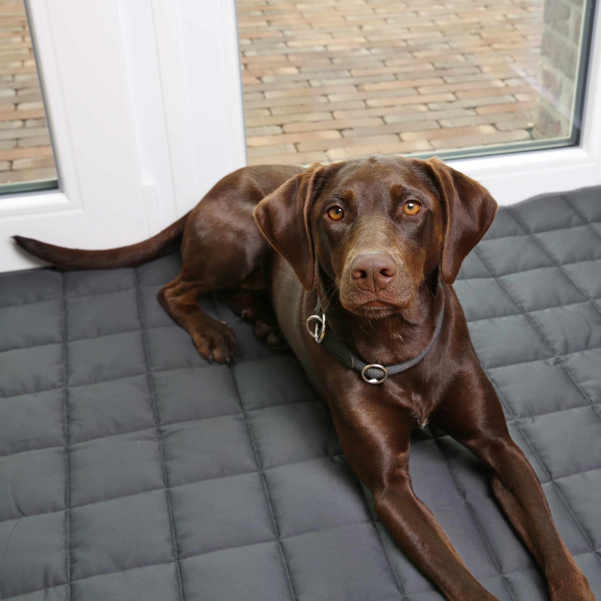 your GEAR Lana Hundematte XXL 160x100 cm – Hundedecke waschbar 60°C – Wasserdicht & Robust – Baumwolle Hundekissen – Auto Kofferraummatte Sofaschutz – XXL Haustiermatte