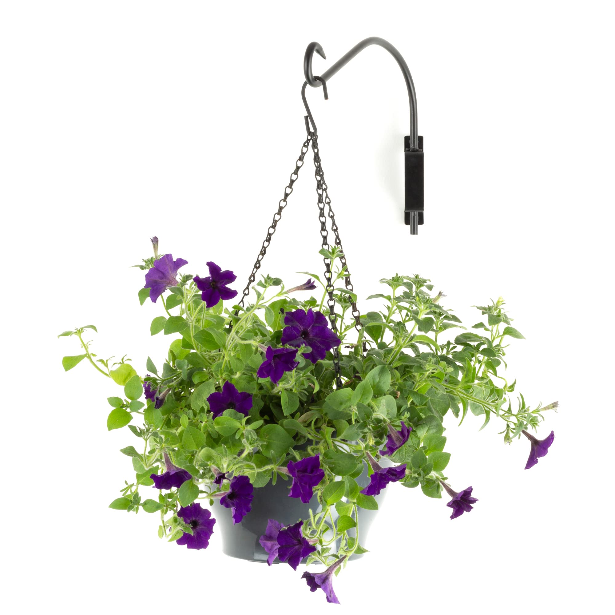 Livivo Black 12” Swivel Hanging Basket Bracket - Heavy Duty Hanging Basket Brackets Outdoor And Indoor Use - Hanging Basket Hooks For Plants, Flower Baskets, Lanterns And Bird Feeder Bracket (Single)