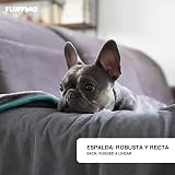 Ver la foto 3