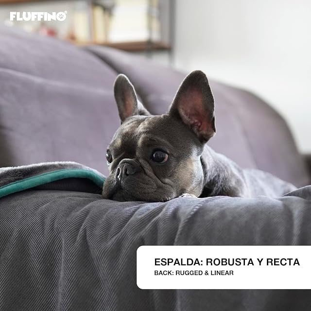 Foto 3 de 6 de FLUFFINO® Manta Reversible para Perros, Suave y Resistente, 150 x 100 cm, Lavable a 40 °C, Color Gris