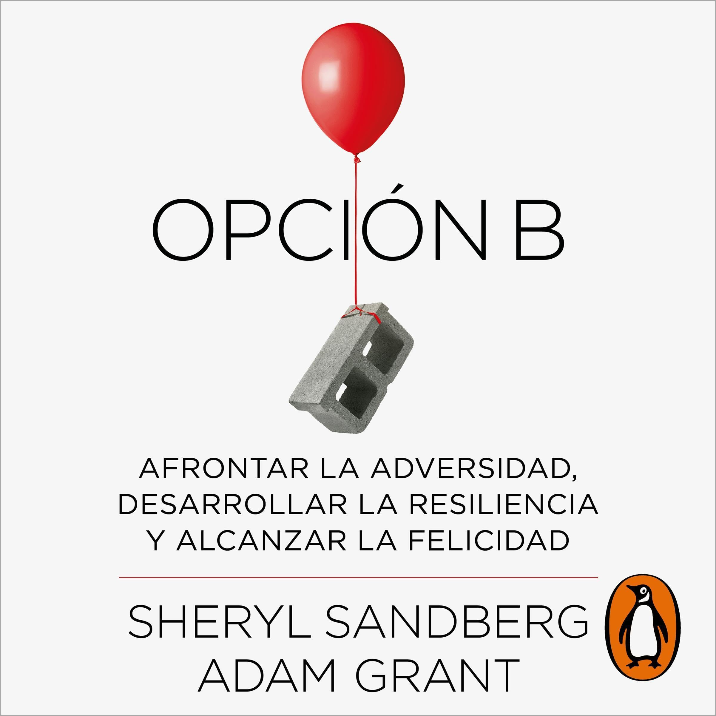 Opción B [Option B]