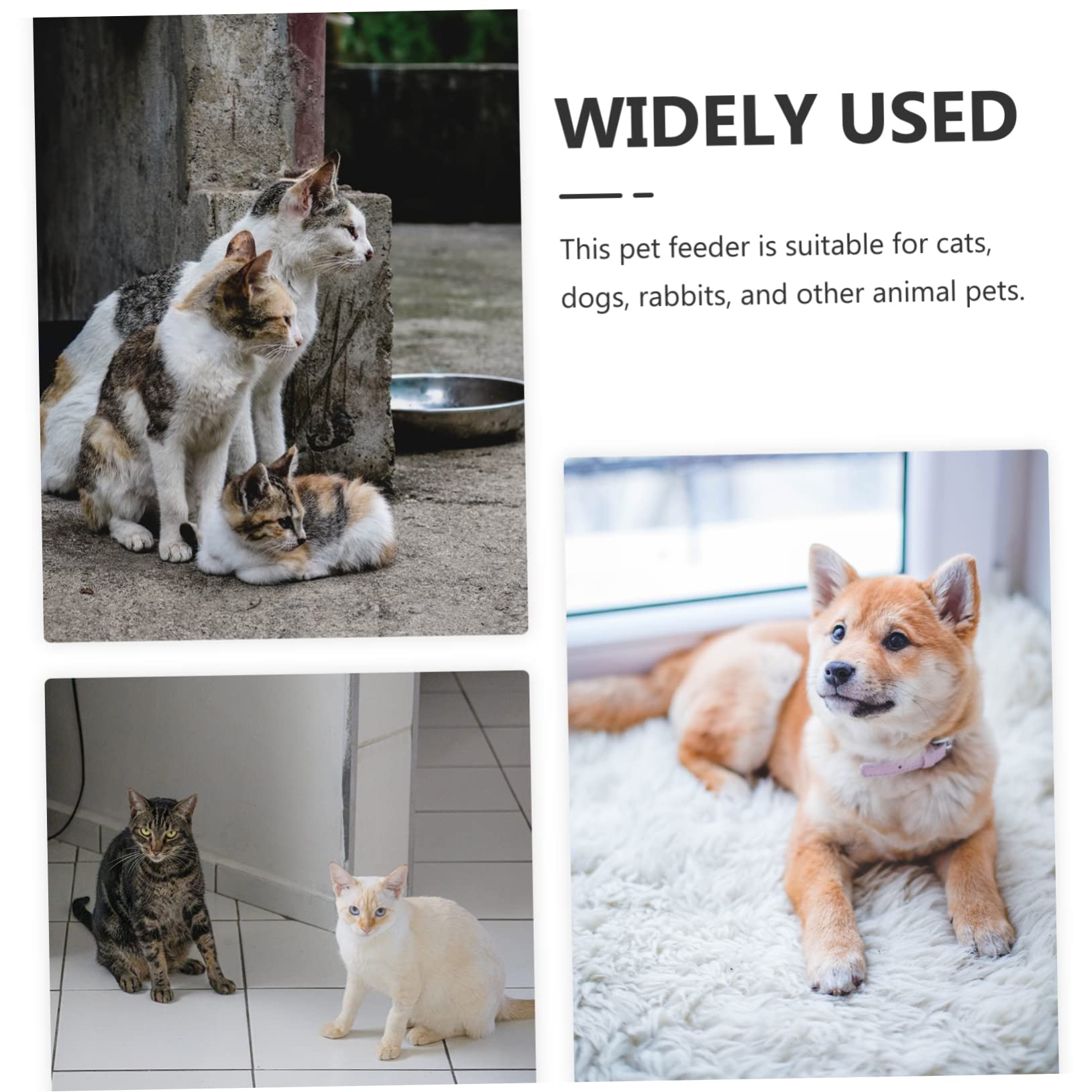 DOITOOL Erhöhter Keramik Katzennapf mit Neigung 2-Schalen Design für Futter und Wasser Abnehmbar für Hund und Katze