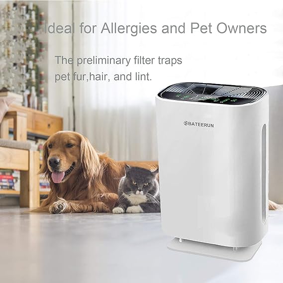 Bateerun air purifier Clearance