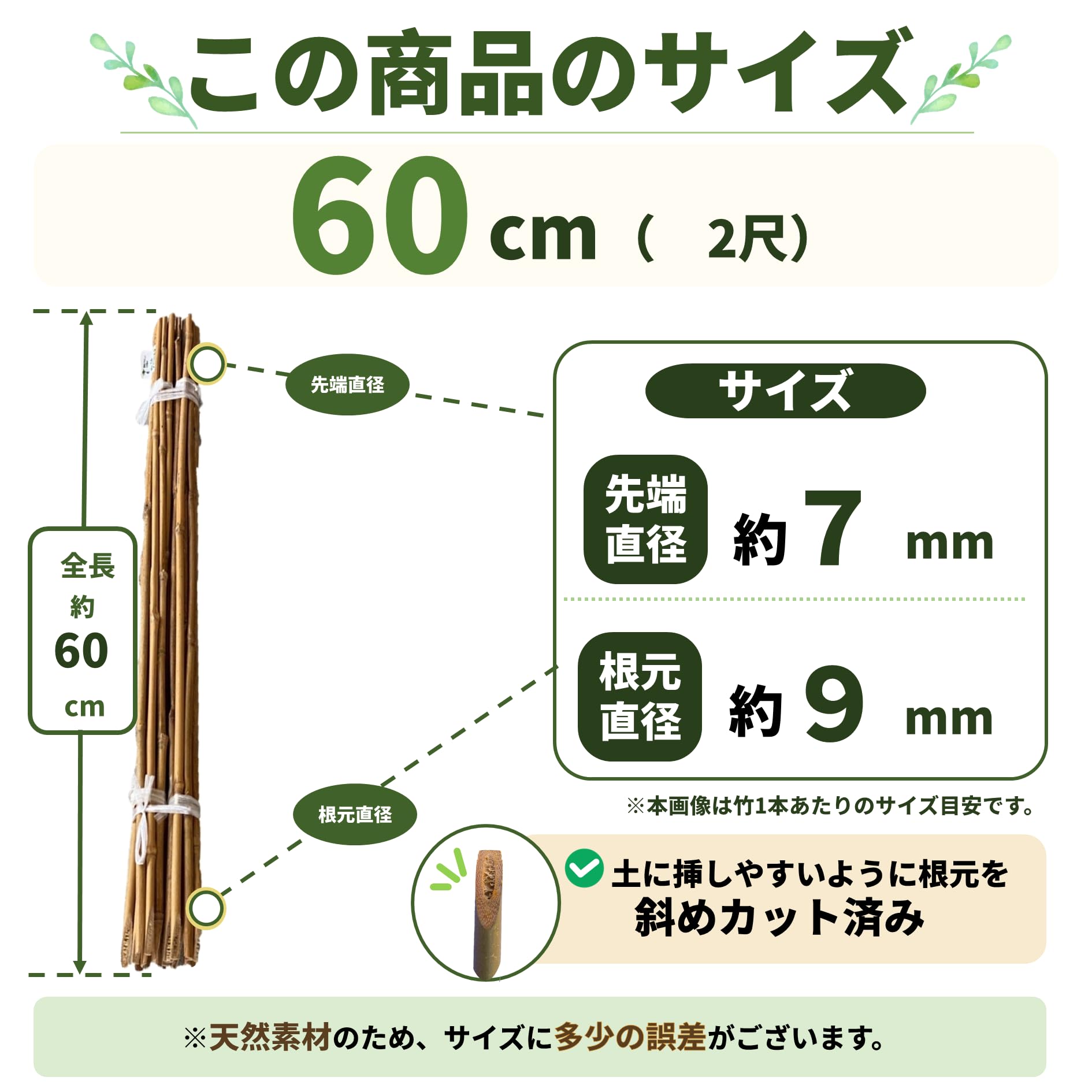 Amazon | 臼井農畜産 (自社製造) 天然竹 女竹 60cm50本 【根元カットで