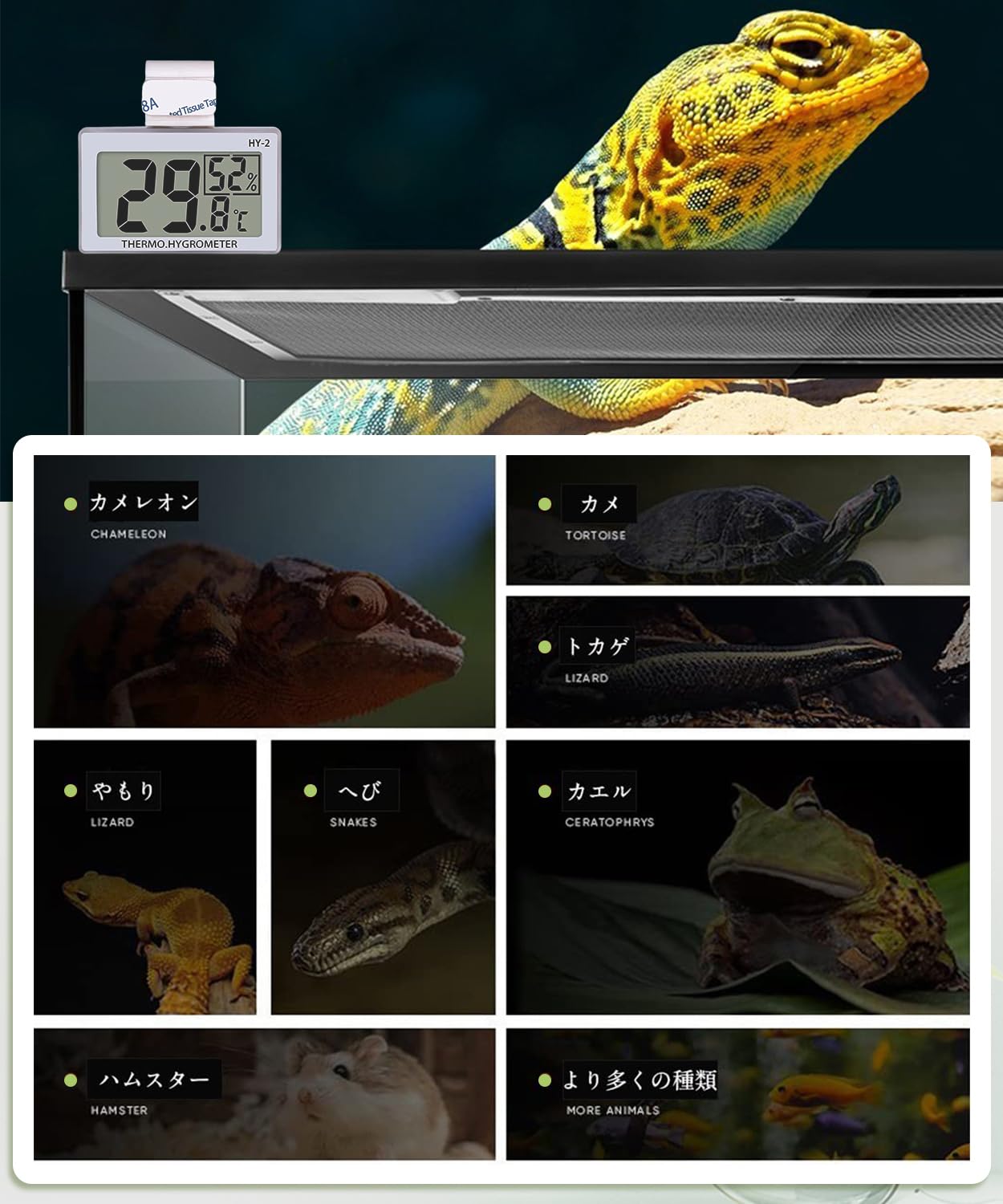 爬虫類 温度管理セット Amazon.co.jp: 温湿度計 両生類 爬虫類 温湿度管理 温度計 湿度