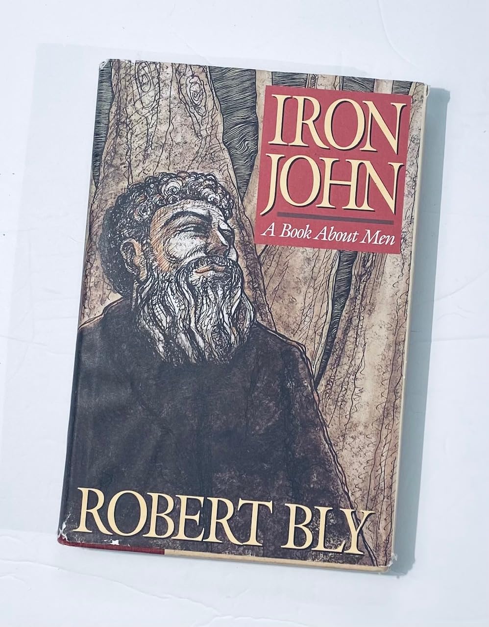 Iron John, a Book About Men Bly, Robert 9780201517200 Books