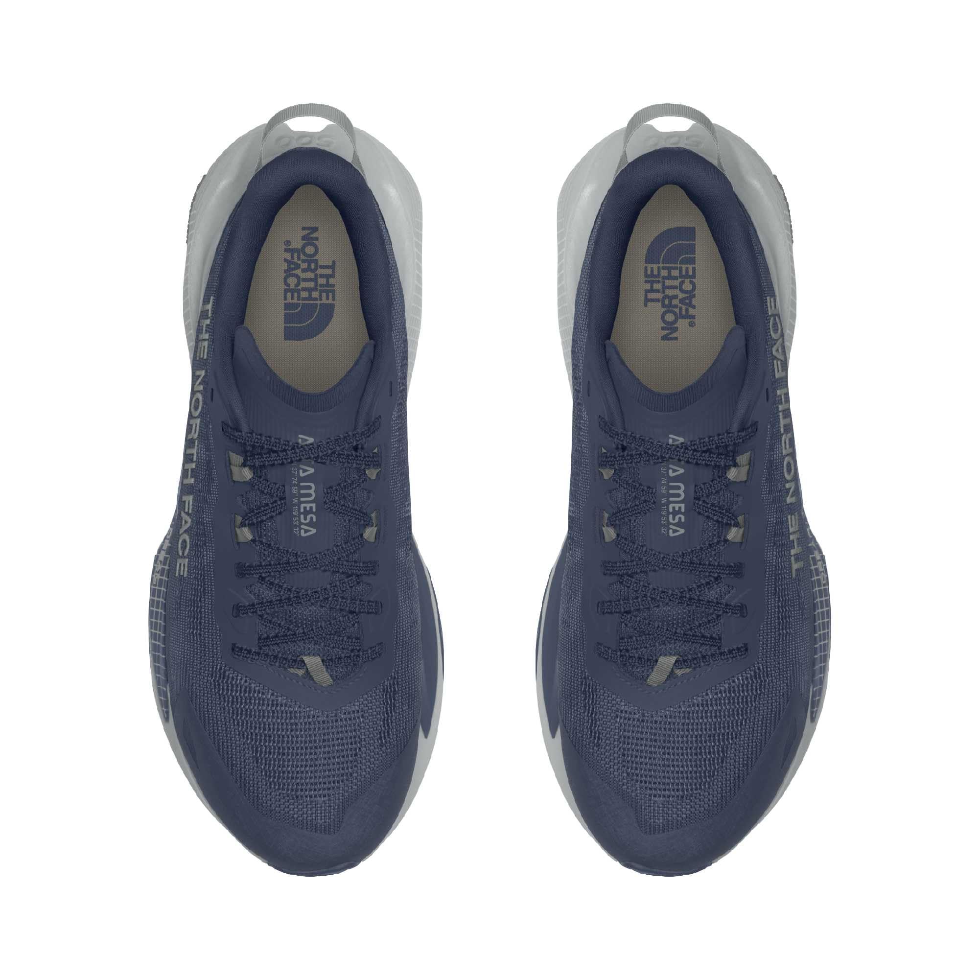 The North Face M Altamesa 500 V2, Zapatillas para Carreras de montaña Hombre