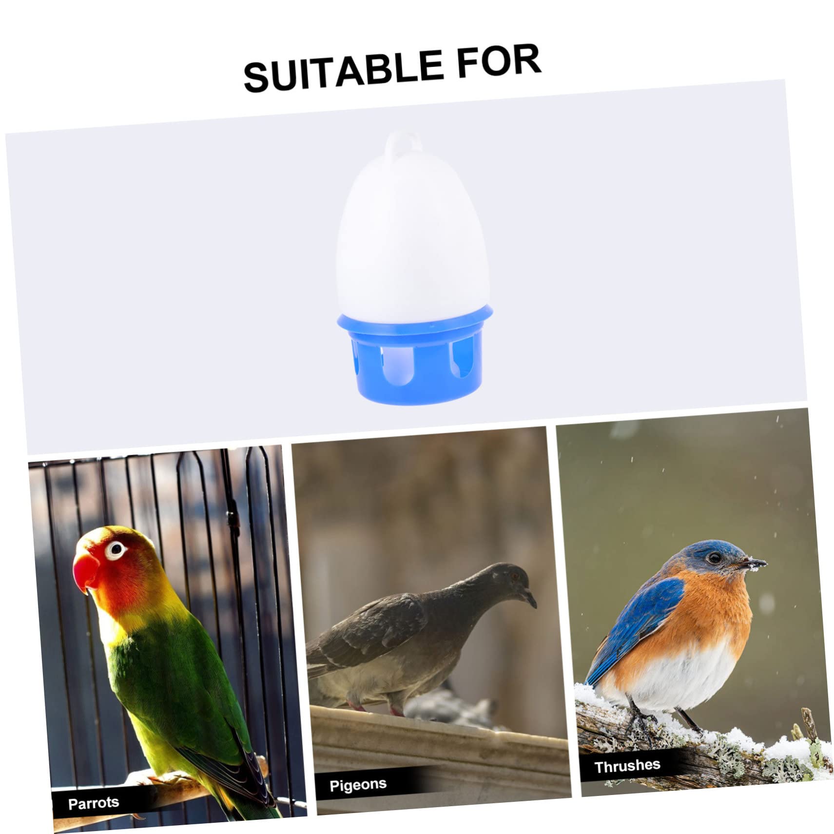 Abreuvoir Pigeon Bleu en PVC, Détachable, avec Échelle, 1 Pièce