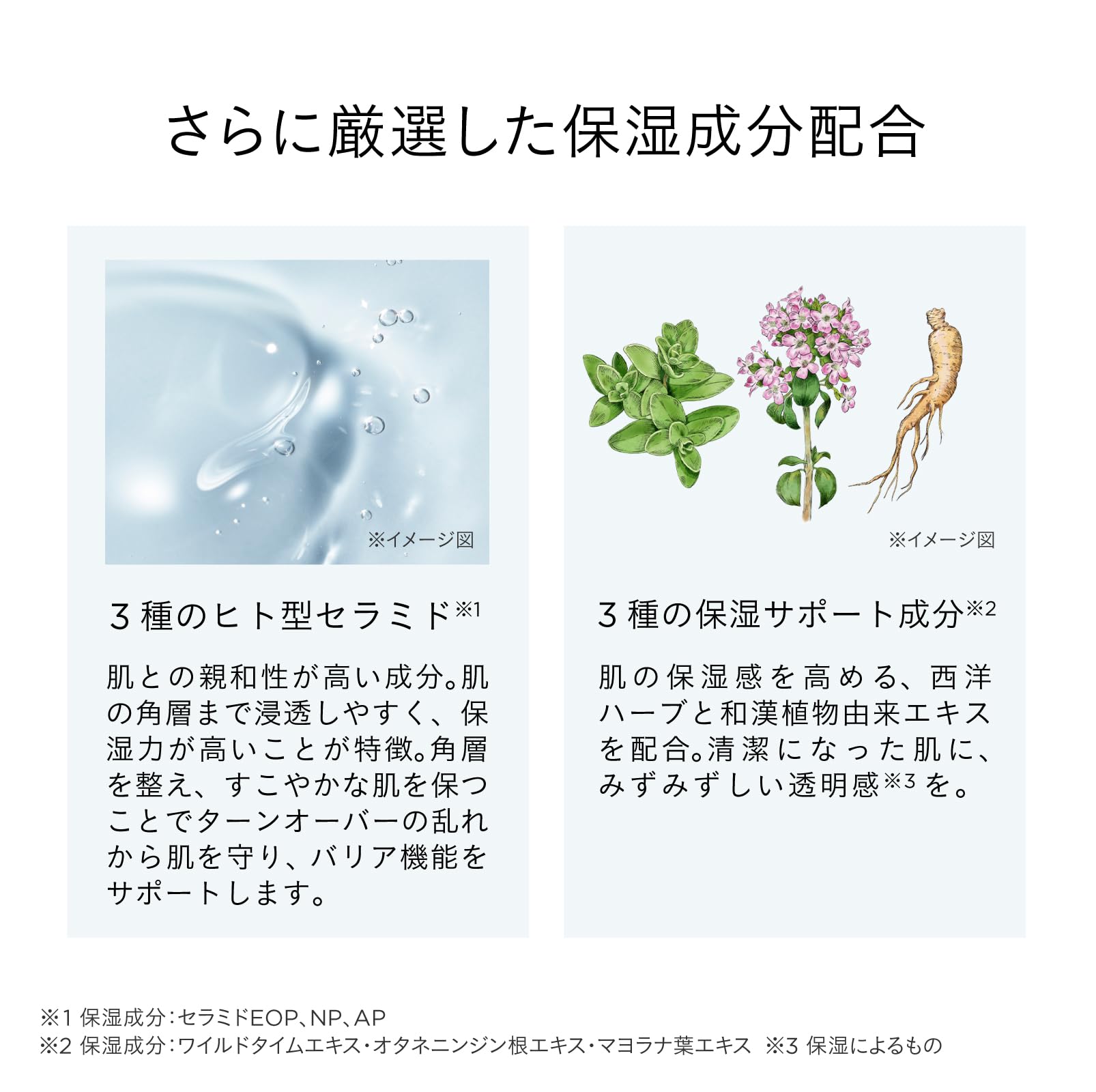 Amazon.co.jp: ETVOS エトヴォス トリートメントリッチフォーム 150ml 