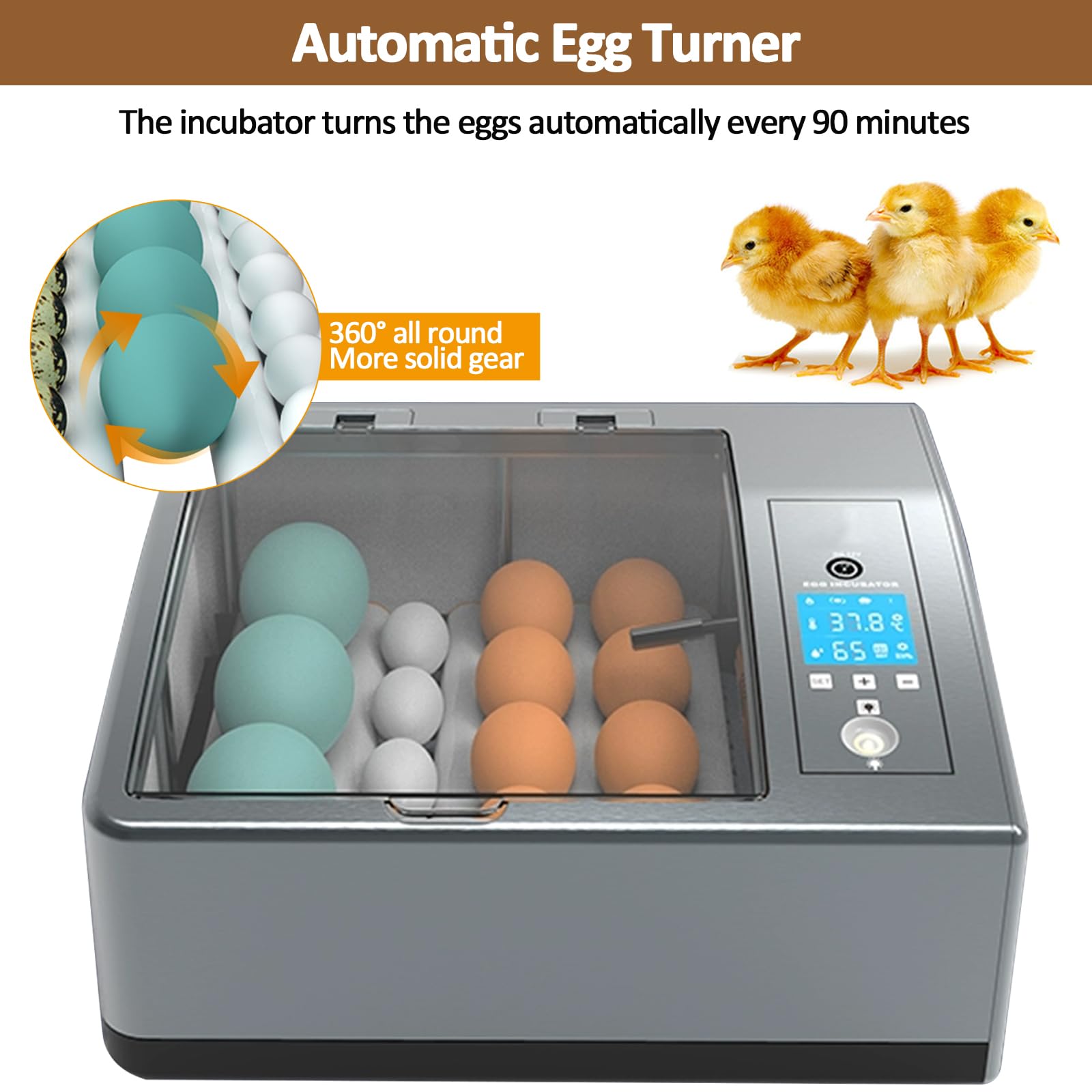 Produktbild von Auveach Brutautomat Vollautomatisch – 12–16 Eier, Mit Eierdrehung & Temperaturkontrolle